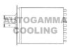 AUTOGAMMA 101610 Heat Exchanger, interior heating